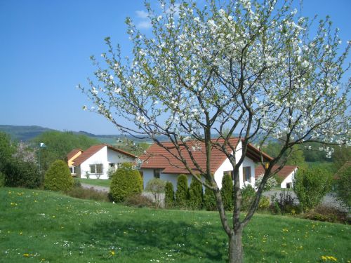  Bungalows en bungalowparken in Nedersachsen Duitsland